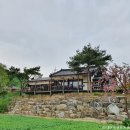 더 이미지