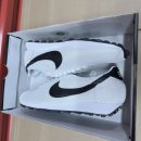 4687 | 나이키 LD-1000 서밋 화이트 HF3227-100 사이즈 후기