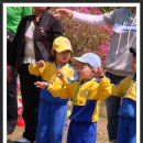참빛유치원 Daum카페