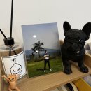 화산체육관 실내골프연습장 이미지