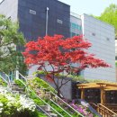 하남시 마루공원 장례식장 지상1층 이미지