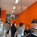 에르펫츠 강아지분양 고양이분양 다산점 이미지