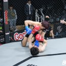 챔피언