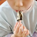 꽃피는산꼴 | [맘스홀릭공구/꽃피는산꼴] - 생들기름맛김&amp;김부각~!! 바삭바삭~ 정말 고소하고 맛있네요. ^^