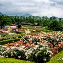 섬진강 기차마을 이미지