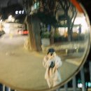 딸기공주 - 창원시 성산구 | 딸기공주