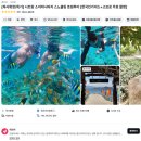 크레이지마케팅 | 나트랑 3박5일] 레츠비 소이미니비치 스노쿨링 호핑투어(한국인가이드) 부모님과 함께한 내돈내산 투어후기