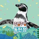 좋은가축인공수정소 | 겨울방학 아이들과 갈만할곳 /주렁주렁 동물원 동탄점 /티켓할인팁