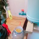 화랑골민박 이미지