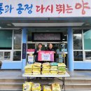 두영 이미지