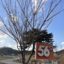 오륙에스티(56st) 이미지