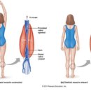 펌프짐헬스클럽 이미지