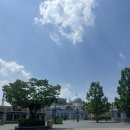 에버랜드 티익스프레스 뒷자리 추천 평일 4시간 여유로운 내돈내산 이용후기