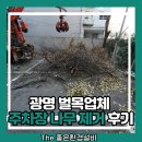 광명빌딩 | 광명 벌목업체 주차장 나무 제거 후기