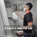 전주방역 스킬방역 후기, 쥐 없앤 리얼 체험기