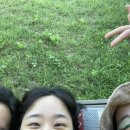 포레스테이 이미지