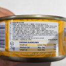 포캣(for cat) 이미지