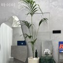 서울 강서구 마곡동 미용실 바이미 붙임머리 후기 인접지하철 가는길