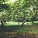 절물자연휴양림 이미지