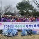 백월산 웹이코노미