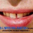 사랑심는치과