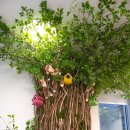 미즈아이소아청소년과의원 이미지