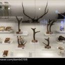 김민정한의원 이미지