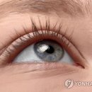 작은사람들 이미지