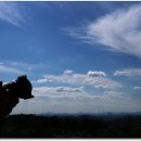 나남수목원(책박물관) 이미지