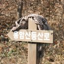 효마루마을 이미지