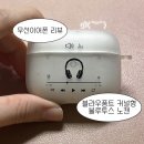 3341 | [리뷰] 독일 블라우풍트 무선이어폰 BLP-BE341 내돈내산 1년 사용후기 (+무선이어폰 케이스 맛집 추천)