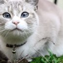 24시보듬동물병원 이미지