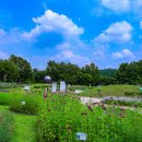 천문공원 이미지