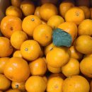 청산외청마을회관 | 25년 12월 23일