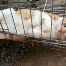 하늘소리목장 이미지