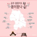 제1회 제주에코색소폰 앙상블 “여름날의 작은 음악회” | 2019 4월 아름다운 봄꽃 축제 총정리