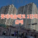 신동백롯데캐슬에코2단지영어도서관 | 롯데캐슬에코 1단지 급매 l 용인 아파트