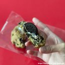 원천동 322-1 | 수원 원천동 카페 디저트 쿠키 맛집 베이킹코티지