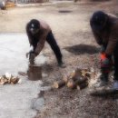 청아민박 이미지