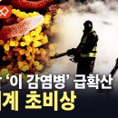 중국발 이 감염병 급확산... 이미지