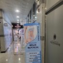 여우만들기연구소 이미지