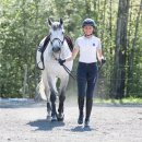 B Vertigo Meghan Womens Silicone Full Seat Breeches 이미지