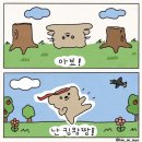 킹왕짱 이미지