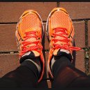 정수권투클럽 이미지