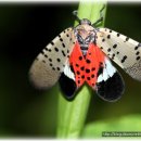 동두천-009 이미지