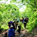 여우숲 - 해운대구 해운대로483번길 3 | 여우숲