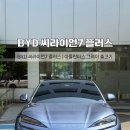 [BYD 서초전시장 출고] 씨라이언 7 플러스 아틀란티스 그레이 즉시출고 솔직후기/전기차비용처리/리스료...
