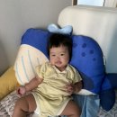 인견사랑 - 청주시 서원구 1순환로1063번길 24 | 밀로앤개비 아기 베개, 여름 인견 애착 동물 베개 사용후기