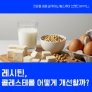 레시틴