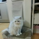 와뜨래요 이미지